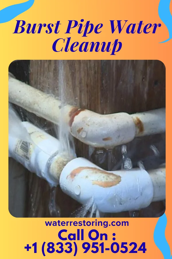 Burst Pipe Water Cleanup in Galesville, WI