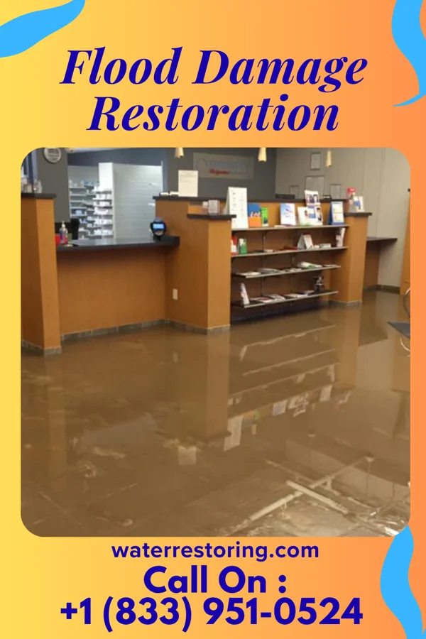 Flood Damage Restoration in Galesville, WI