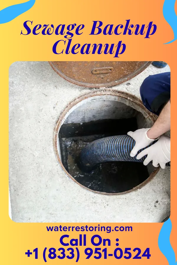 Sewage Backup Cleanup in Galesville, WI