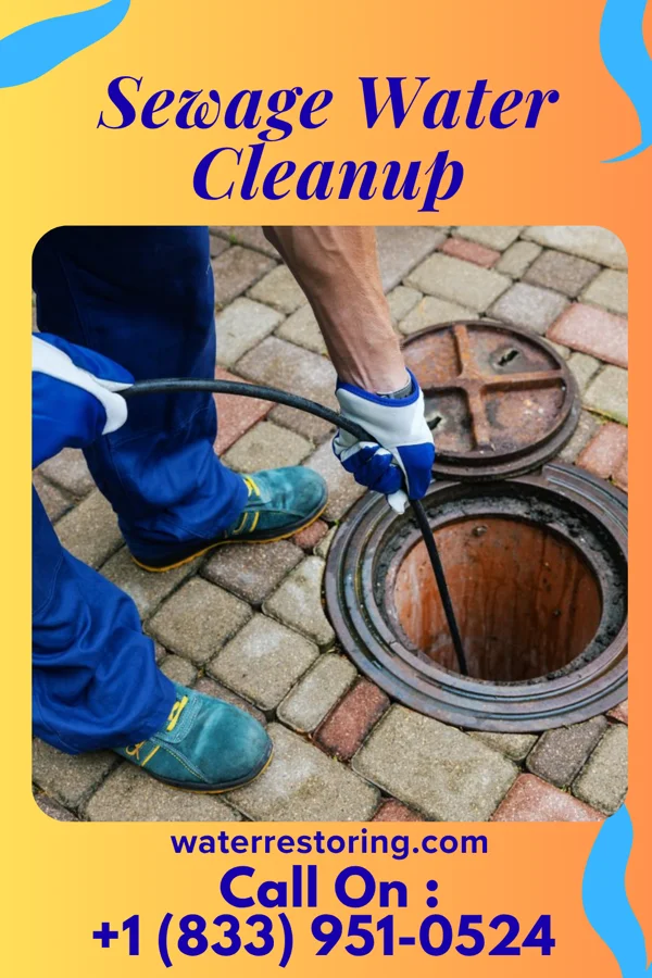 Sewage Water Cleanup in Galesville, WI