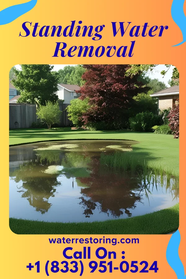 Standing Water Removal in Galesville, WI